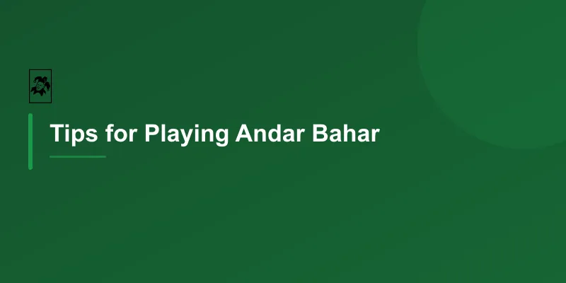Tips for Playing Andar Bahar